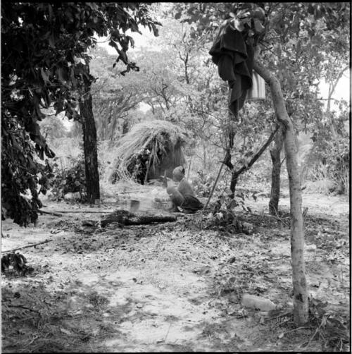 Woman sitting by a fire, cracking nuts, side view, with a blanket hanging in a tree near her, skerm in the background