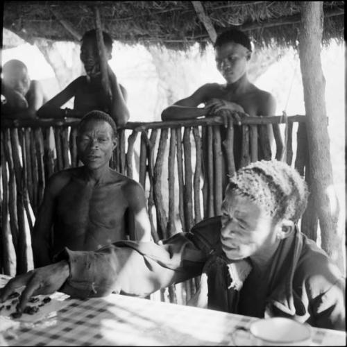 ≠Toma sitting with /Ti!kay at a table in the expedition tent, moving beetles on the table with two fingers, helping expedition members to identify insects, with people standing outside behind them