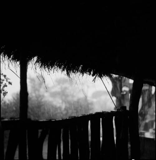 Trees in the rain, view from inside the expedition hut