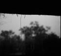 Trees in the rain, view from inside the expedition hut (out of focus)