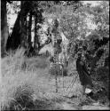 Dance rattles hanging from a tree, with a group of people sitting next to a baobab tree in the background