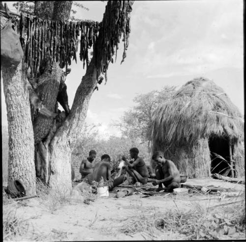 Group of men sitting and lying down next to a skerm, with strips of meat hanging from a tree near them