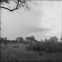 Rain clouds over the veld