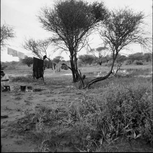 Man sitting next to a line hung from a tree with clothes hanging on it to dry