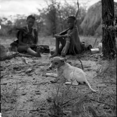 Woman and a child sitting next to a fire, with a puppy lying on the ground near them
