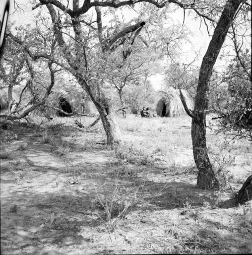 People sitting and standing near skerms and trees