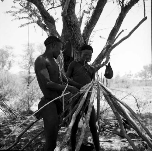 Two men lashing the poles of a skerm together with strands of plant fiber, holding the fiber in their mouths