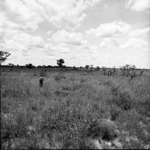 Man hunting in the veld, distant view