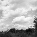 Clouds in the veld