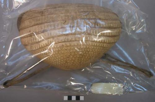 Armadillo sheath pouch, used for maize-grain and probably other seed when sowing