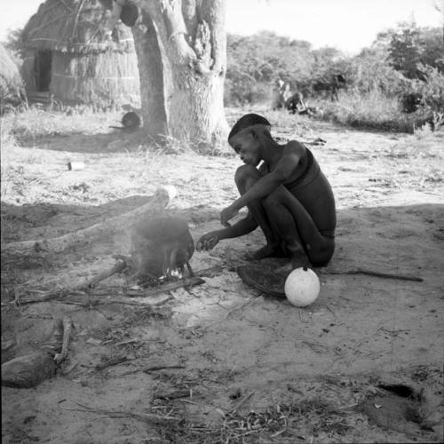Man checking a fire with an iron pot on it, with an ostrich eggshell on the ground