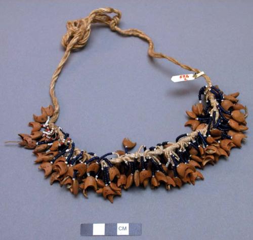 Necklace of seeds and beads