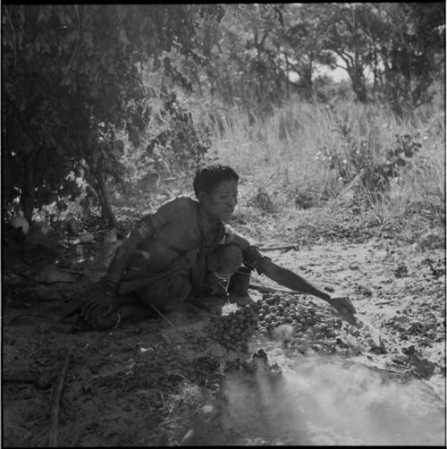 Woman arranging a pile of mangetti nuts cooking in the ashes of a fire, close-up