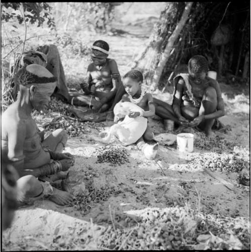 Group of women sitting in front of a skerm, cracking nuts, with a child sitting next to them, playing with a dog