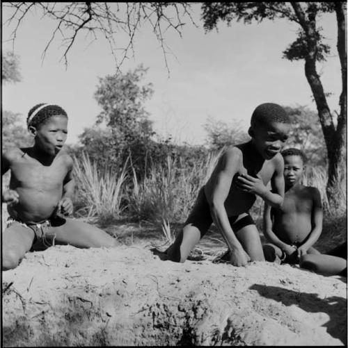 Boys playing !ó'm!hú / !’Om g!xuni / ’Ai kota !U!u g!xuni / N!aih //’an (the porcupine game, also known as the axe game, assegai game or war game)