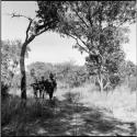 Three hunters walking, distant view
