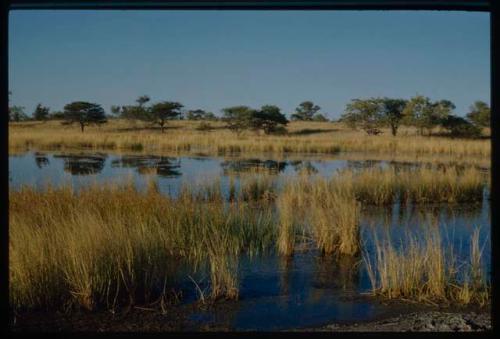 Scenery, Pan: Small pan near Gautscha filled with water