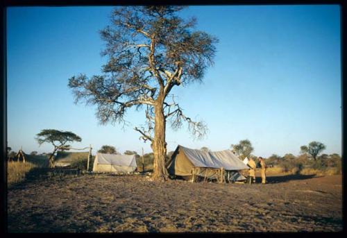 Expedition, Camp: John Marshall's tent, with Lorna Marshall's and Laurence Marshall's tents in the background