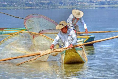 "Two butterfile net fishermen, Lago Patzcuaro, catching pescado blanco (small white fish)"