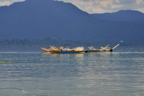 "Group of boats of butterfly net fisherman on Lago Patzcuaro"