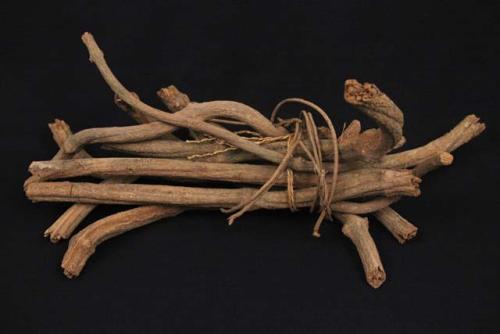 Bundles of ayahuasca