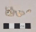 Animal tooth fragments, possibly pig