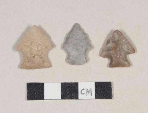 Chipped stone, projectile points, corner-notched