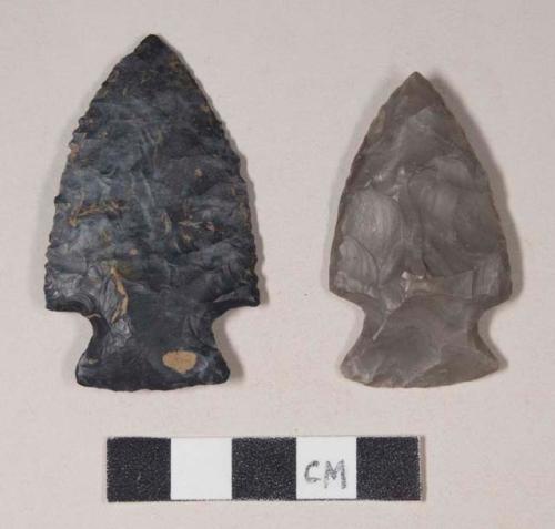 Chipped stone, projectile points, side-notched