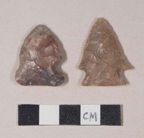 Chipped stone, projectile point, side-notched; chipped stone, projectile point, corner-notched