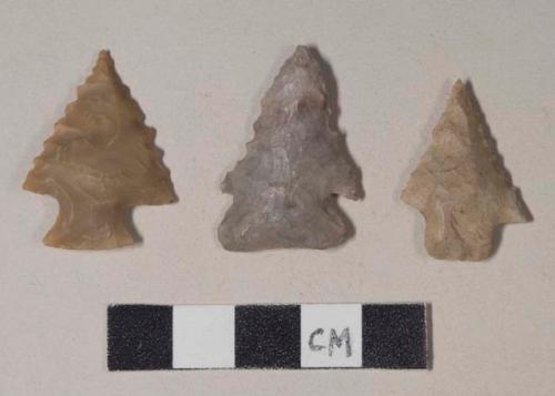 Chipped stone, projectile point, stemmed; chipped stone, projectile points, corner-notched, serrated