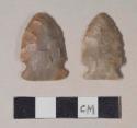 Chipped stone, projectile points, side-notched