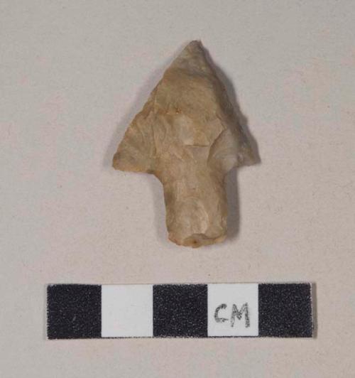 Chipped stone, projectile point, stemmed, beaked tip