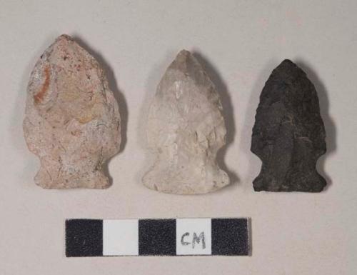 Chipped stone, projectile points, side-notched