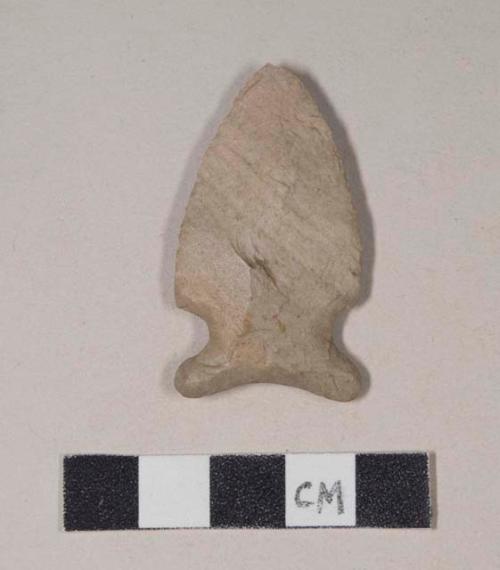 Chipped stone, projectile point, side-notched