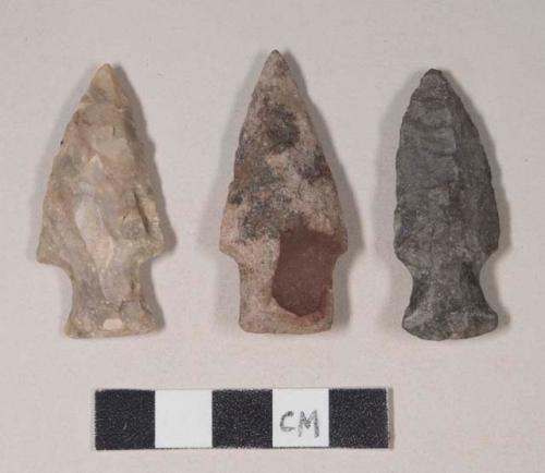 Chipped stone, projectile point, stemmed, with cortex; chipped stone, projectile points, side-notched