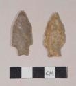 Chipped stone, projectile points, stemmed, one with bifurcate base