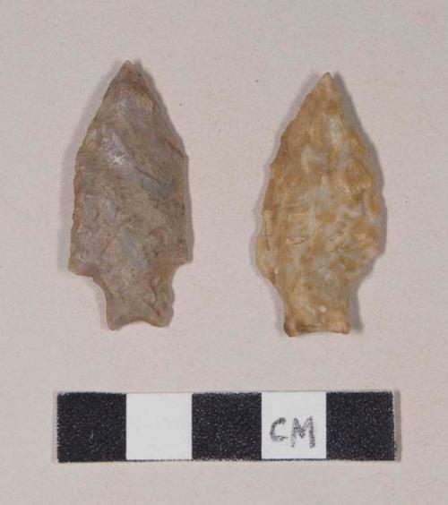 Chipped stone, projectile points, stemmed, one with bifurcate base