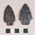 Chipped stone, projectile points, stemmed, serrated