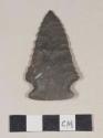 Chipped stone, projectile point, side-notched, serrated