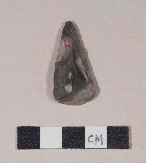 Chipped stone, projectile point, triangular, possibly used as scraper at basal end