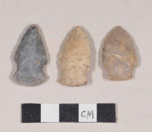 Chipped stone, projectile points, side-notched; chipped stone, projectile point, stemmed