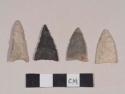 Chipped stone, projectile points, lanceolate; chipped stone, projectile points, triangular