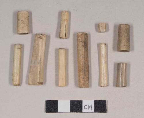 Worked animal bone tubular beads, likely bird bone, some with incised lines, cut marks or decoration; worked shell tubular bead