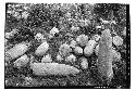 Conical stones from Tumba del Chac Mool, or Platform of the Cones