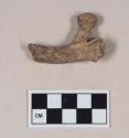 Animal bone, rib fragment