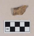 Animal bone, scapula fragment