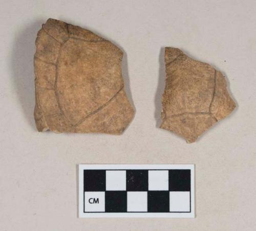 Turtle bone, carapace fragments