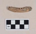 Animal bone, mandible fragment, with tooth fragment