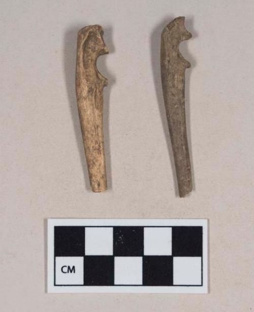 Animal bone, ulna fragments