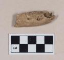 Animal bone, mandible fragment